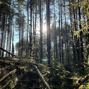 Meet your Posher, Talon